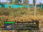 3_ha_aba_nursery_at_sola_rf_of_sonari_range_under_sopd_scheme