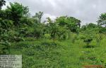 Dhekiajan, UDRF East Block, Digboi Division