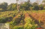Jokai RF, Dibrugarh Division
