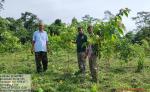 Kenduguri, Nalbari SF Division