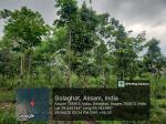 Nambor Doigrung WL Sanctuary, Golaghat Division