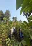 ABA Nurseries
