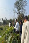 ABA Nurseries