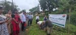 World Environment Day 2025