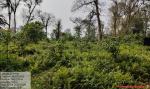 UDRF West Block, Lakhipathar Range, Nalbari SF Division