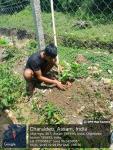 Vana Mahotsav 2025