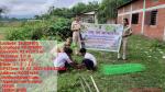 Vana Mahotsav 2025