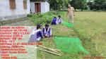 Vana Mahotsav 2025