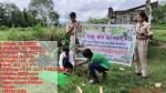 Vana Mahotsav 2025