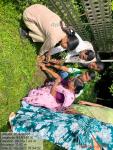 Wildlife Week 2025