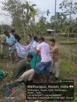 International Day of Forests 2026