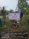 International Day of Forests 2026