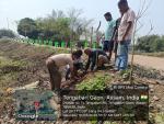 International Day of Forests 2026
