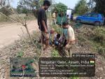 International Day of Forests 2026