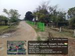 International Day of Forests 2026